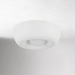 Load image into Gallery viewer, Alverin Flush Mount Ceiling Light - Minimalist Metal Fixture for Modern Homes
