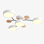 Afbeelding laden in galerijweergave, Celos Diffuse LED Bol Plafondarmatuur – Stijlvolle Binnenverlichting voor Eilanden en Hoekjes