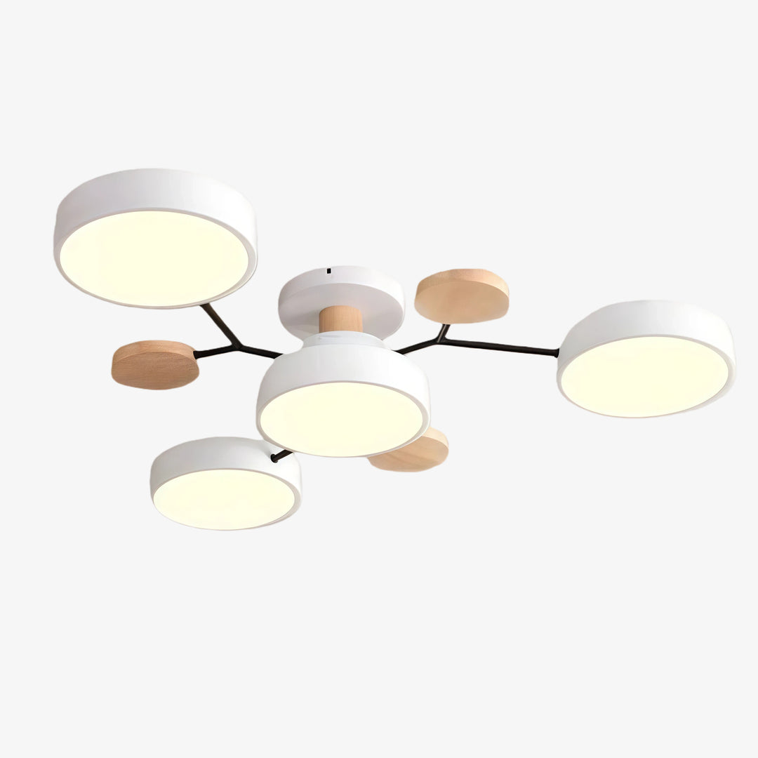 Celos Diffuse LED Bol Plafondarmatuur – Stijlvolle Binnenverlichting voor Eilanden en Hoekjes