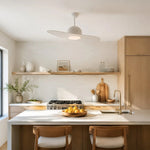 Bild in die Galerieansicht laden, Designer Hat Two-Blade Ceiling Fan Light scene image