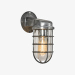 Cargar imagen en el visor de la Galería, Patnox Clear Glass Industrial Wall Sconce