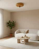 Load image into Gallery viewer, Honeydrift Ceiling Lamp