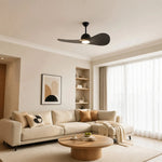 Bild in die Galerieansicht laden, Designer Hat Two-Blade Ceiling Fan Light scene image