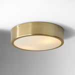 Load image into Gallery viewer, Crelina Minimalist Flush Mount Lighting - Modern Ceiling Fixture for Any Room
