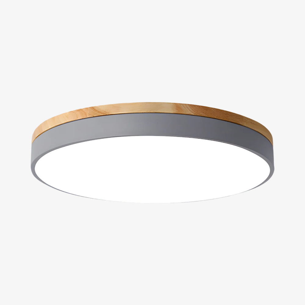 Cielora Ronde Opbouw Plafondlamp Minimalistisch Profiel - Moderne Interieurdecoratie
