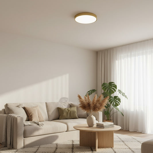 Rondi Minimalistische Ronde LED Plafondlamp - Circulair IJzeren Ontwerp voor Woon- en Slaapkamer