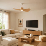 Bild in die Galerieansicht laden, Designer Hat Two-Blade Ceiling Fan Light scene image