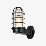 Cargar imagen en el visor de la Galería, Patnox Clear Glass Industrial Wall Sconce