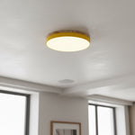 Afbeelding laden in galerijweergave, Cielora Ronde Opbouw Plafondlamp Minimalistisch Profiel - Moderne Interieurdecoratie