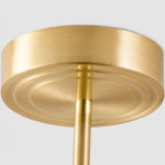 Afbeelding laden in galerijweergave, Detail: brass ceiling plate and downrod