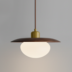 Load image into Gallery viewer, Vireo Pendant Lamp