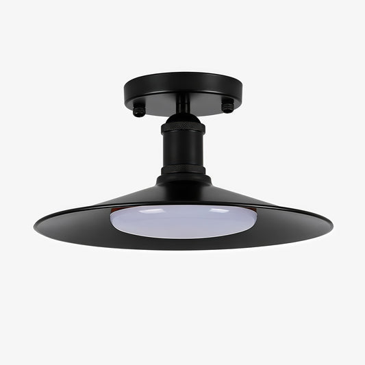 Leviaxa Outdoor Metal Pendant and Ceiling Light