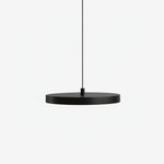 Load image into Gallery viewer, Evanos Disc Design Pendant Light – Sculptural Iron Disc Style for Modern Dining Room