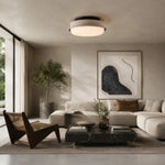 Cargar imagen en el visor de la Galería, ceiling light room scene