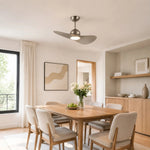 Bild in die Galerieansicht laden, Designer Hat Two-Blade Ceiling Fan Light scene image