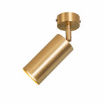 Charger l'image dans la visionneuse de la galerie, Brass Ceiling Spotlight full product view