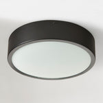 Load image into Gallery viewer, Crelina Minimalist Flush Mount Lighting - Modern Ceiling Fixture for Any Room
