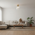 Afbeelding laden in galerijweergave, Brazara Koepel Plafondlamp - Industrieel Geribbeld en Helder Glas voor Woonkamer