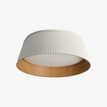 Bild in die Galerieansicht laden, Ribravo Moderne gerippte, strukturierte Deckenleuchte – Moderne minimalistische Lampe für das Wohnzimmer