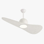 Bild in die Galerieansicht laden, Designer Hat Two-Blade Ceiling Fan Light