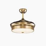 Bild in die Galerieansicht laden, Antique brass retractable ceiling fan light style B