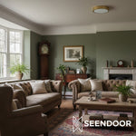 Load image into Gallery viewer, Crelina Circular Glow Contemporary Ceiling Light for Living Room
