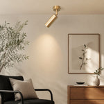 Charger l'image dans la visionneuse de la galerie, Brass ceiling spotlight in a living room installation scene