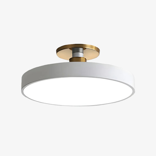 Ceilivon Plafondlamp Brede Diffuser Opbouw Plafondlamp - Moderne Stijl voor Woonkamer