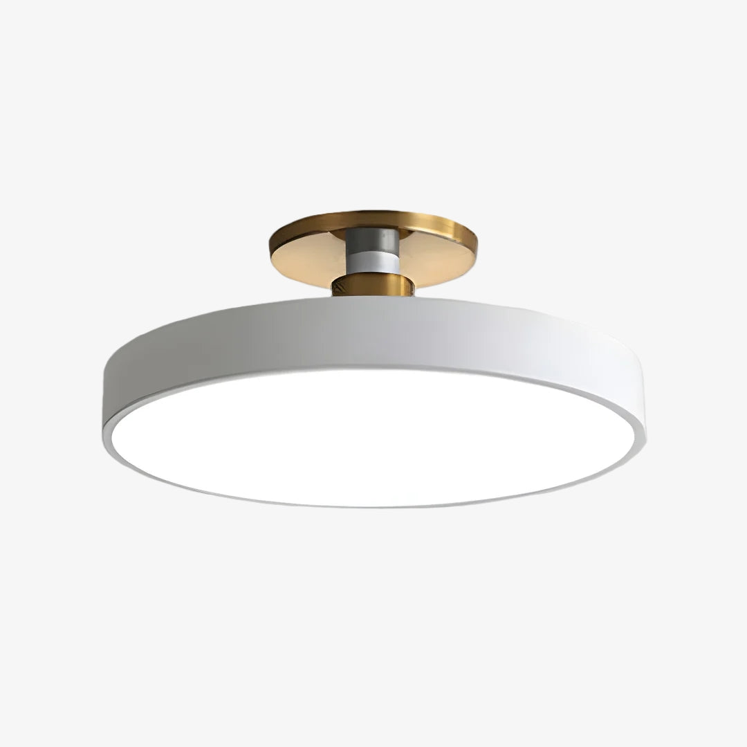 Ceilivon Plafondlamp Brede Diffuser Opbouw Plafondlamp - Moderne Stijl voor Woonkamer