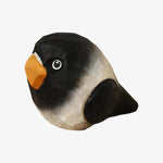 Carica l'immagine nella visualizzazione Galleria, Charcoal-black parrot