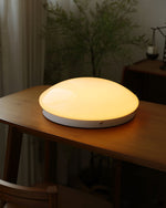 Load image into Gallery viewer, Wickes Flush Ceiling Light