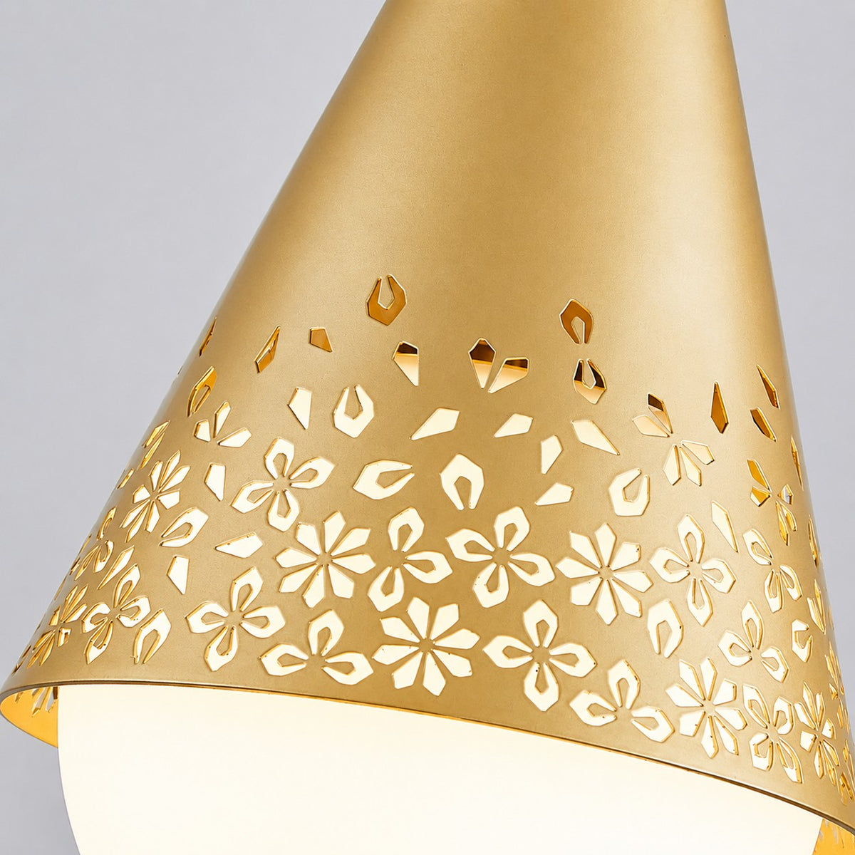 Baoxela Industrial Outdoor Pendant Light