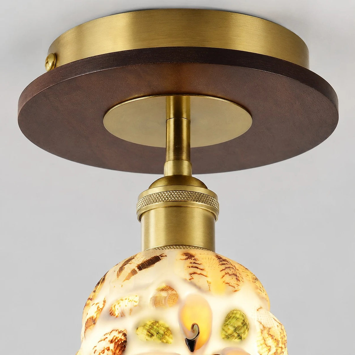 Shell glass shade close detail