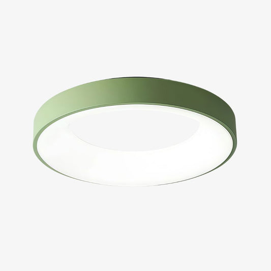 Lumiflexa Low-Profile Acrylic Ceiling Light – Integrated LED Flush Fixture for Bedroom and Lounge