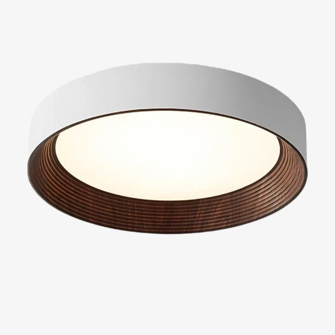Crelina Zeitgenössische Deckenleuchte – Innenraum Aufbaulampe für Flur und Essbereich U16