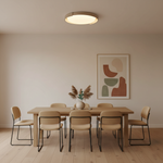 Load image into Gallery viewer, Dari Round Ceiling Light