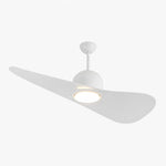 Bild in die Galerieansicht laden, Designer Hat Two-Blade Ceiling Fan Light