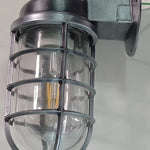 Cargar imagen en el visor de la Galería, Patnox Clear Glass Industrial Wall Sconce