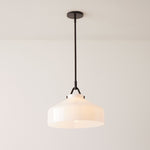 Load image into Gallery viewer, Hanton Modern Metal Pendant Light - Hanging Lamp for Kitchen
