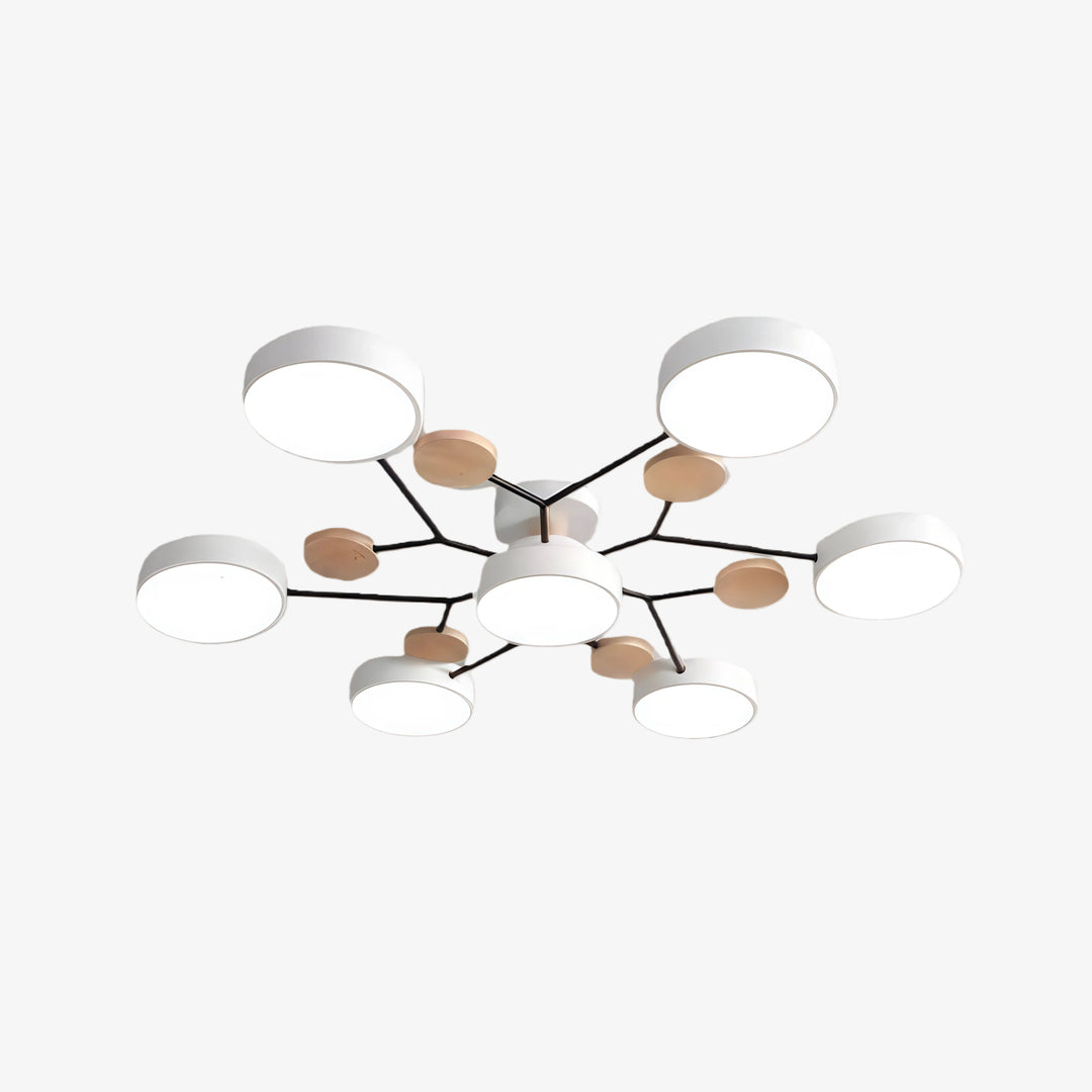 Celos Diffuse LED Bol Plafondarmatuur – Stijlvolle Binnenverlichting voor Eilanden en Hoekjes