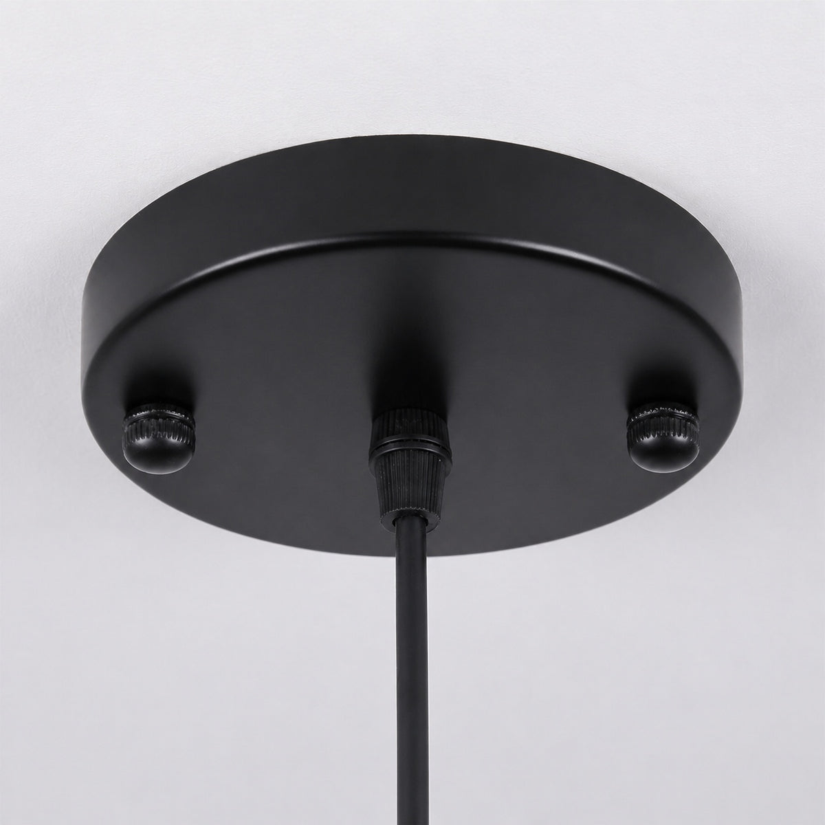 Leviaxa Outdoor Metal Pendant and Ceiling Light