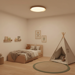 Load image into Gallery viewer, Dari Round Ceiling Light