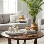 Afbeelding laden in galerijweergave, Beastlynn Dierlijke Glazen Hanglamp - Creatief Zoo Ontwerp Hanglamp voor Kinderkamer N23