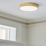 Load image into Gallery viewer, Crelina Minimalist Flush Mount Lighting - Modern Ceiling Fixture for Any Room
