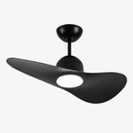 Bild in die Galerieansicht laden, Designer Hat Two-Blade Ceiling Fan Light
