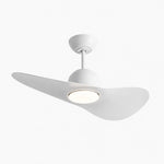 Bild in die Galerieansicht laden, Designer Hat Two-Blade Ceiling Fan Light