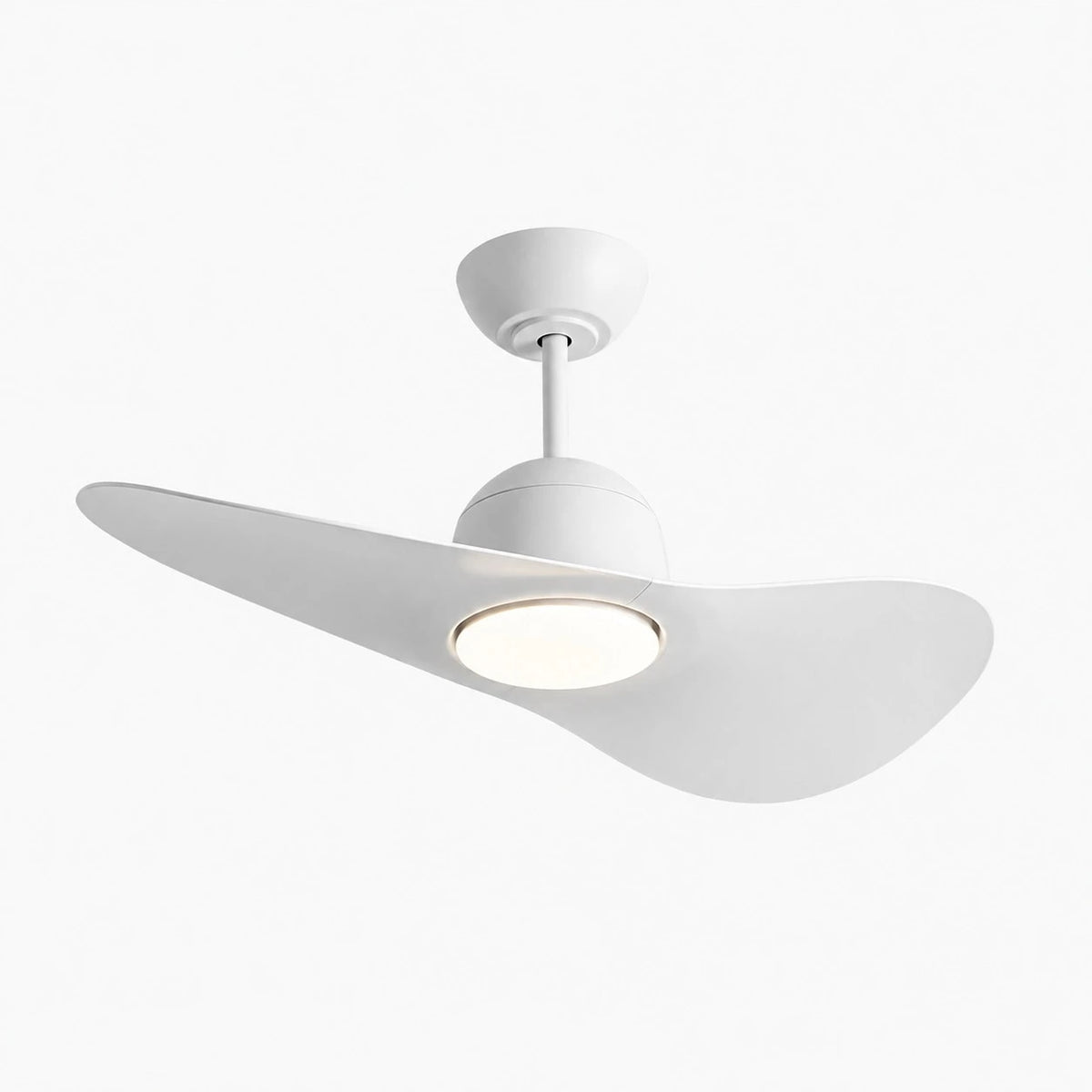 Designer Hat Two-Blade Ceiling Fan Light