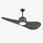 Bild in die Galerieansicht laden, Designer Hat Two-Blade Ceiling Fan Light