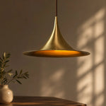 Bild in die Galerieansicht laden, Brushed Brass Umbrella Pendant Light