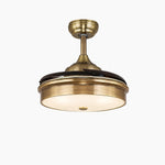 Bild in die Galerieansicht laden, Antique brass retractable ceiling fan light style A